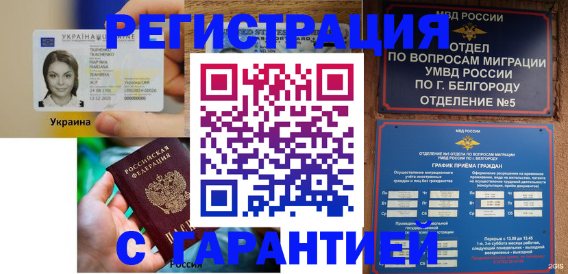 прописка 2025 в Павловском Посаде